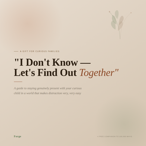 Let's find out together | E-book